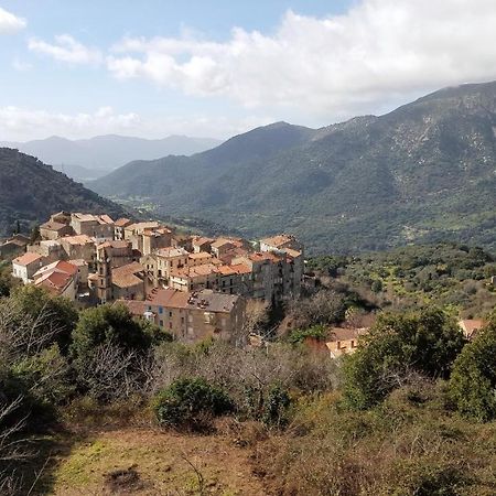 Casa Corsa Villa Santa-Lucia-di-Tallano ภายนอก รูปภาพ