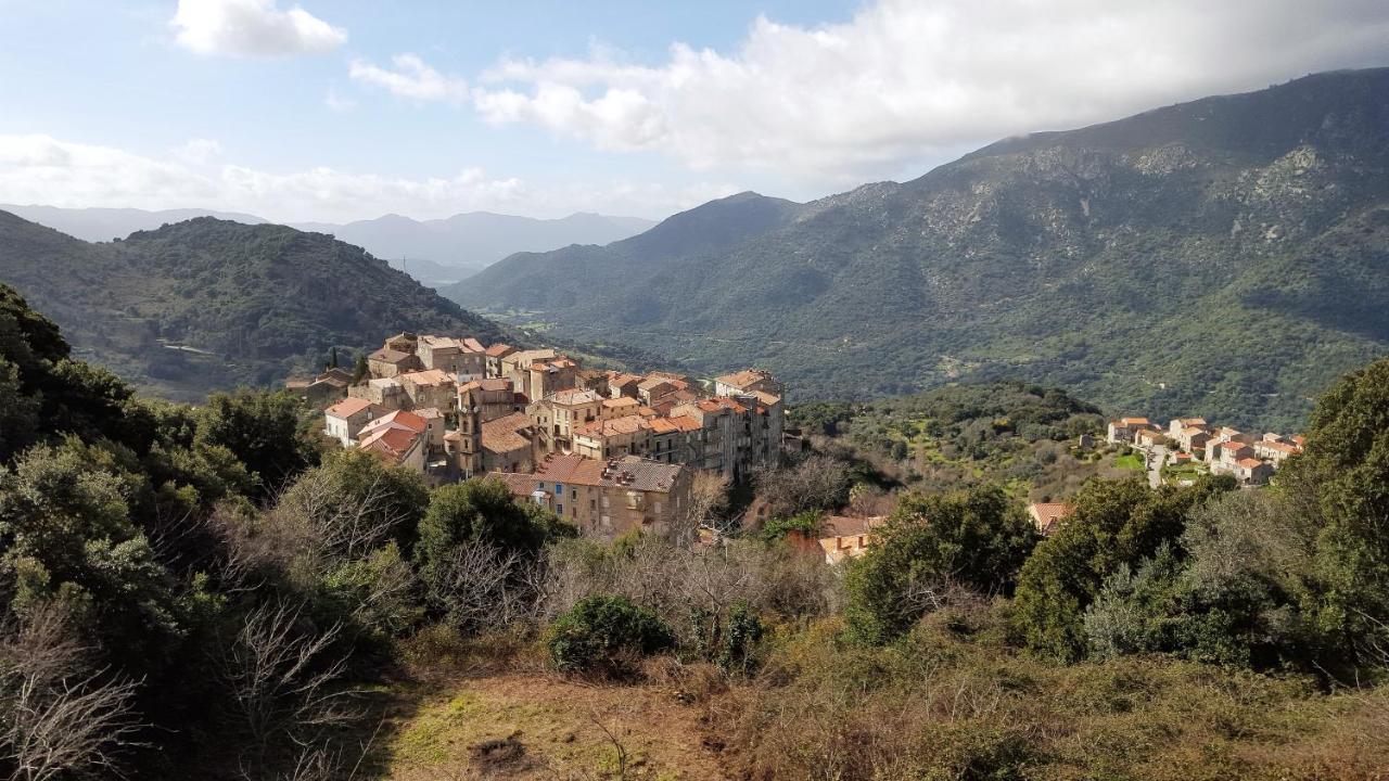 Casa Corsa Villa Santa-Lucia-di-Tallano ภายนอก รูปภาพ